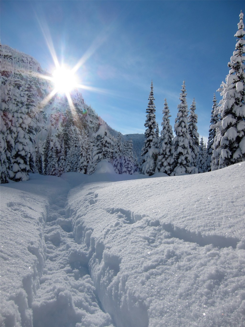 Understanding the Sperry&nbsp;fire