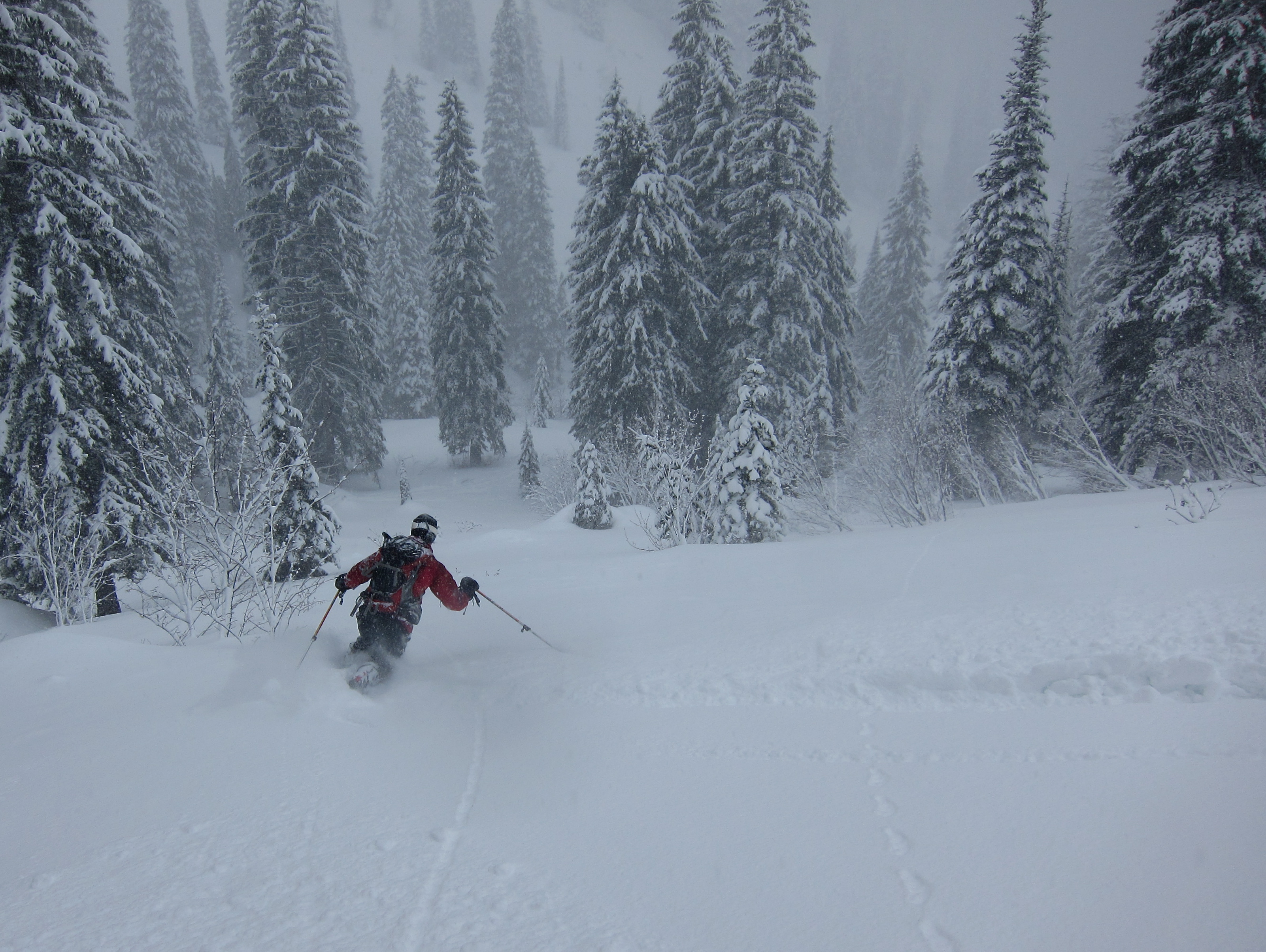 Essenshell, examined – Bedrock & Paradox