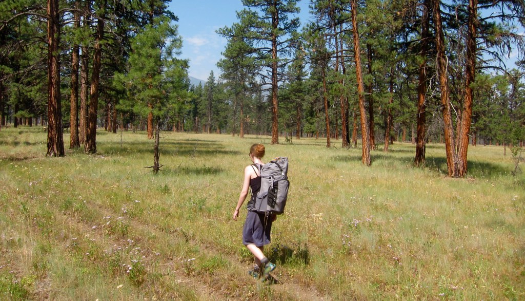 Evolution of the Tamarisk;&nbsp;prolegomena