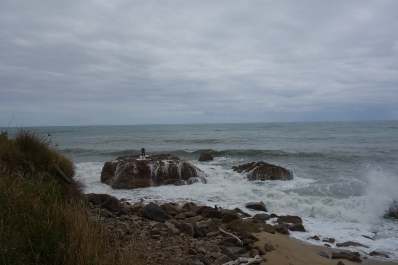 DSC09214