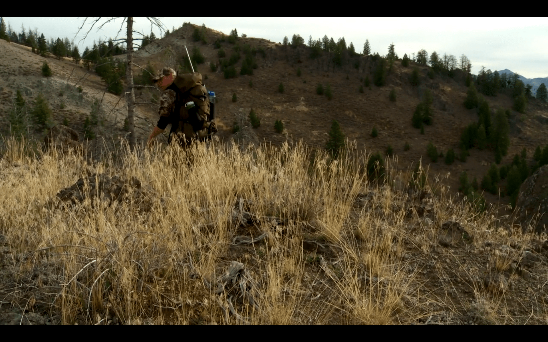 Screen Shot 2016-02-12 at 12.31.04 PM