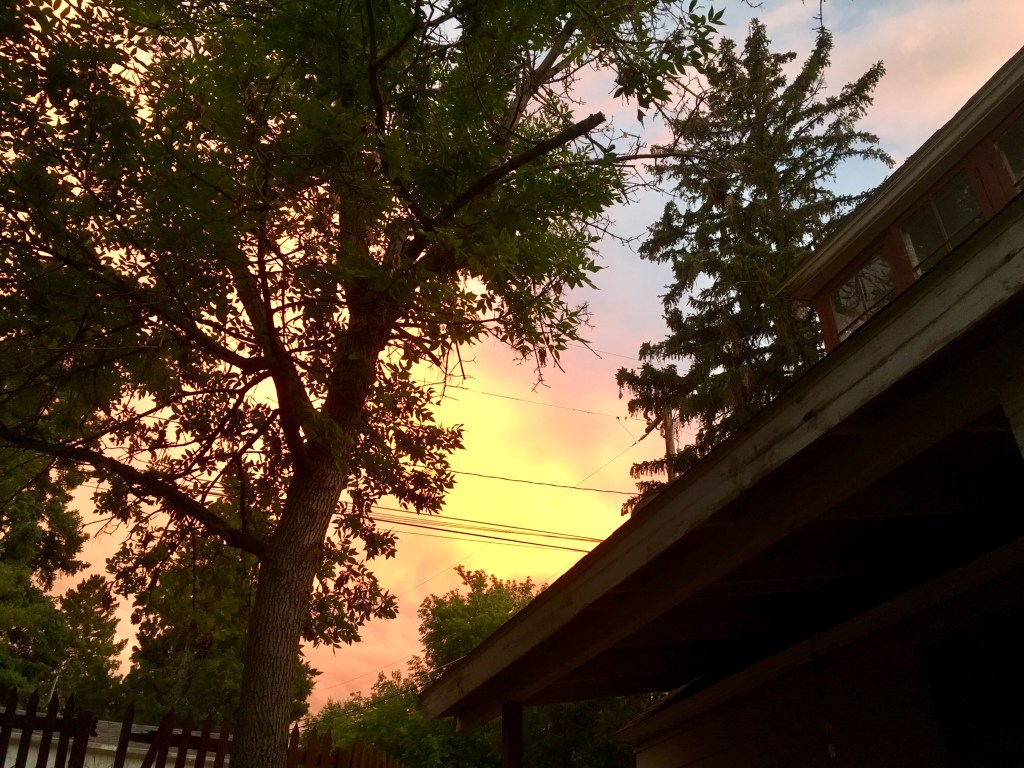 The miracle of&nbsp;2017