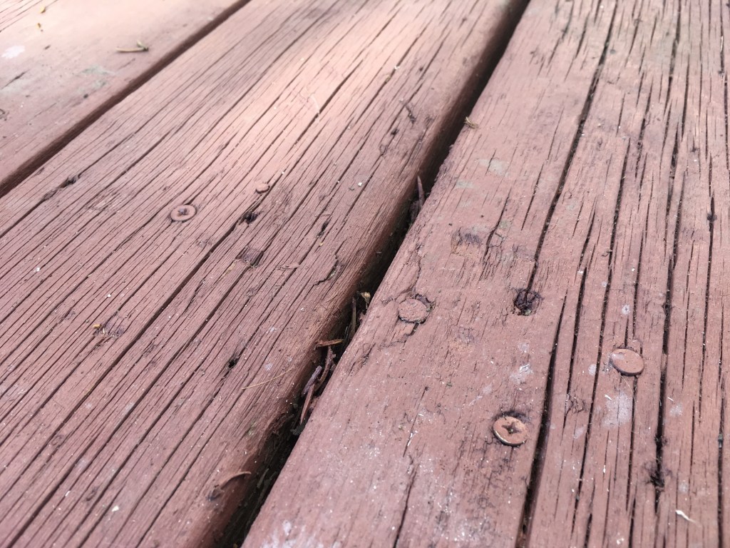 The year I grew&nbsp;up