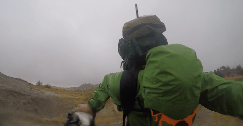 Screen Shot 2017-11-26 at 12.42.23 PM