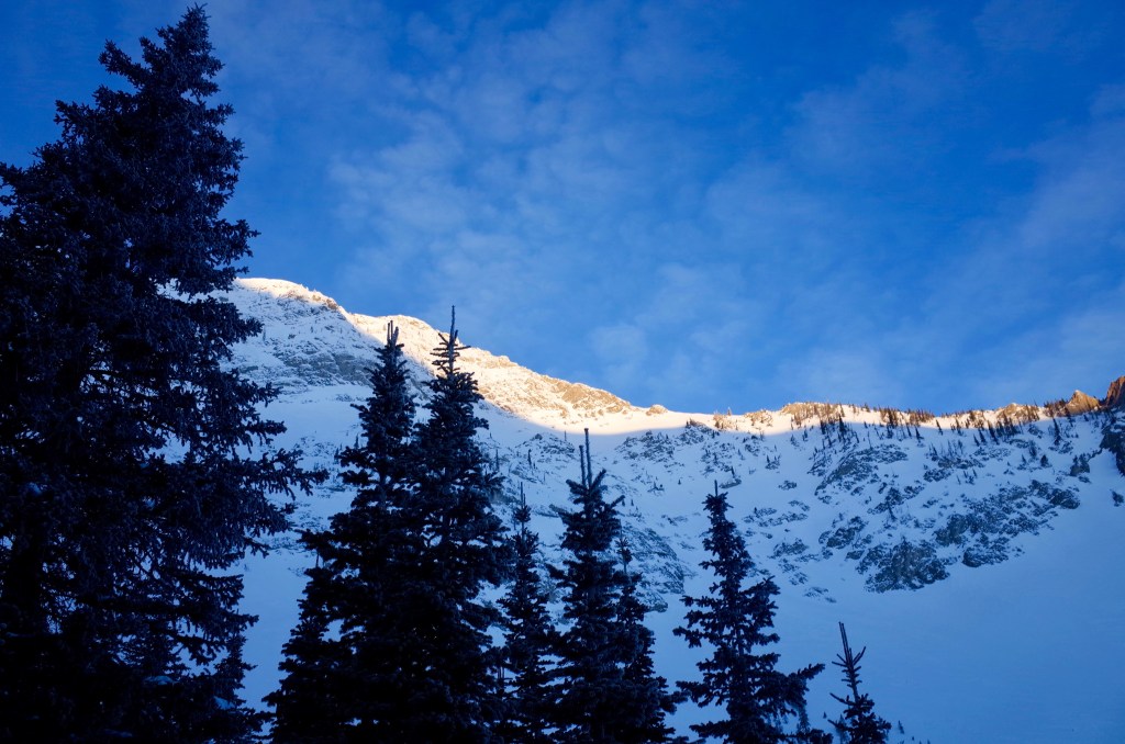 Renewing incompetence