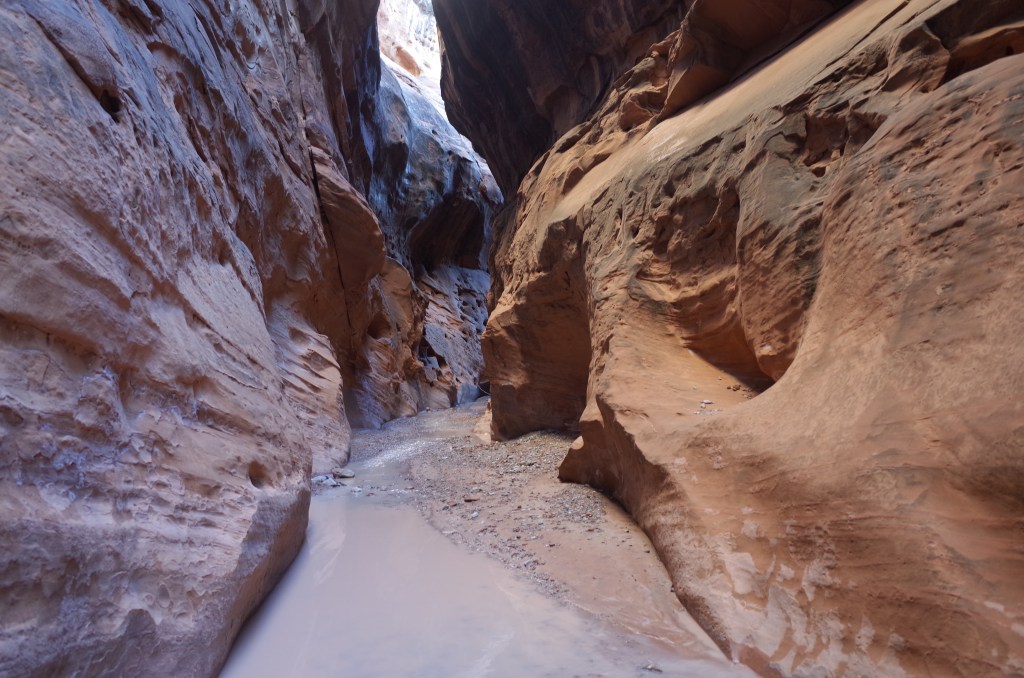 Pack materials for&nbsp;2018