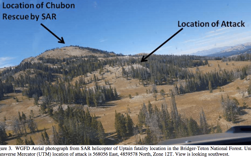 Screen Shot 2019-02-02 at 9.59.04 AM