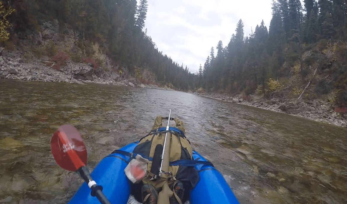 Screen Shot 2019-02-09 at 1.42.35 PM