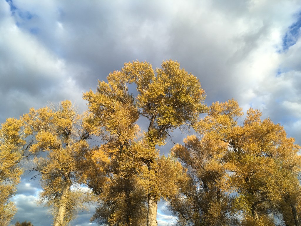 The vexatious Airshed