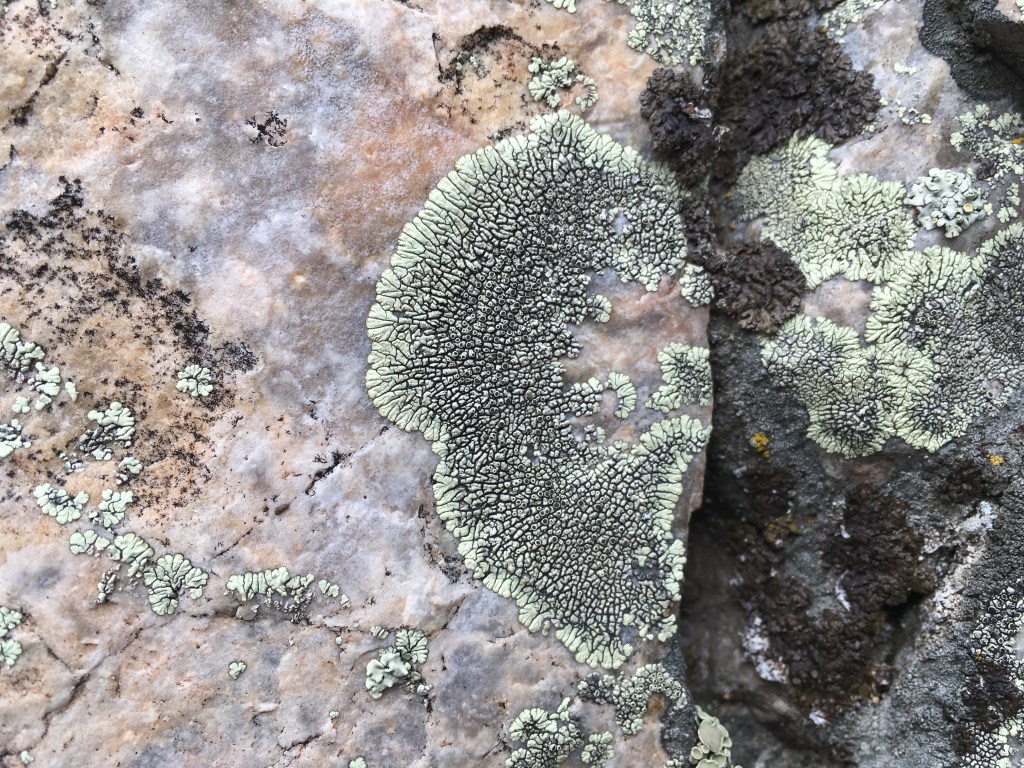 Montana social distancing&nbsp;update