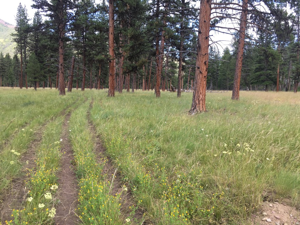 Flathead Rivers management plan, this time for real